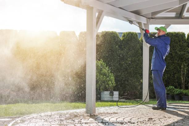 Best Graffiti Removal  in Mount Pleasant, TX